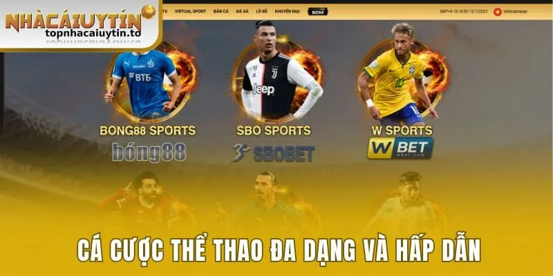 Cá cược thể thao đa dạng và hấp dẫn mỗi ngày
