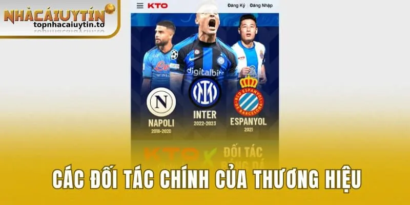 Các đối tác chính và hàng đầu của thương hiệu