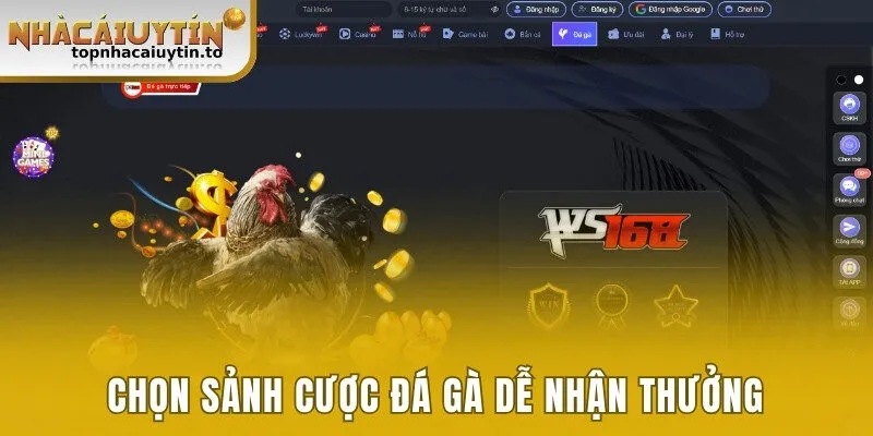 Chọn sảnh cược đá gà dễ nhận thưởng