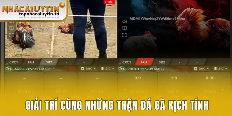 Một vài ưu đãi nổi bật cho người chơi mới