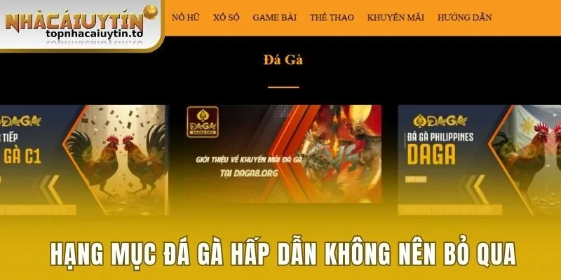 Daga - Điểm Dừng Chân Lý Tưởng Cho Người Chơi Năm 2025