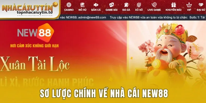Sơ lược chính về nhà cái New88