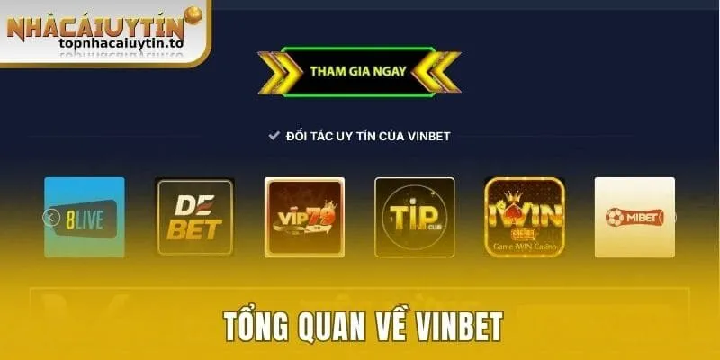 Tổng quan về vinbet