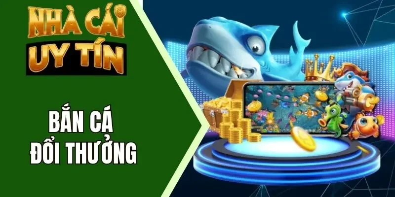 Săn cá có chiến thuật xác suất thắng cao hơn